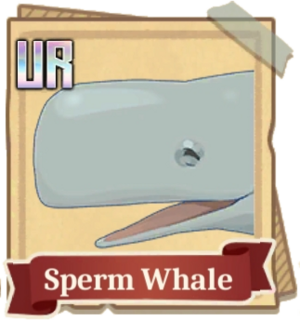 Fish Handbook Sperm Whale.png