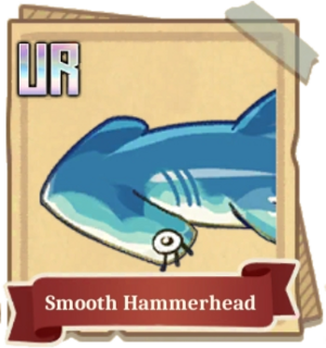 Fish Handbook Smooth Hammerhead.png