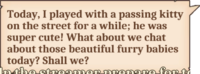 Today, I played with a passing kitty on the street for a while; he was super cute! What about we chat about those beautiful furry babies today? Shall we?