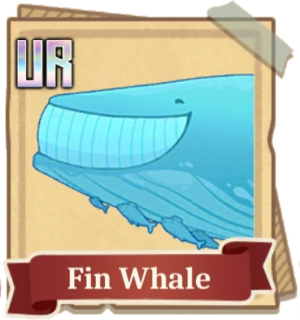 Fish Handbook Fin Whale.png